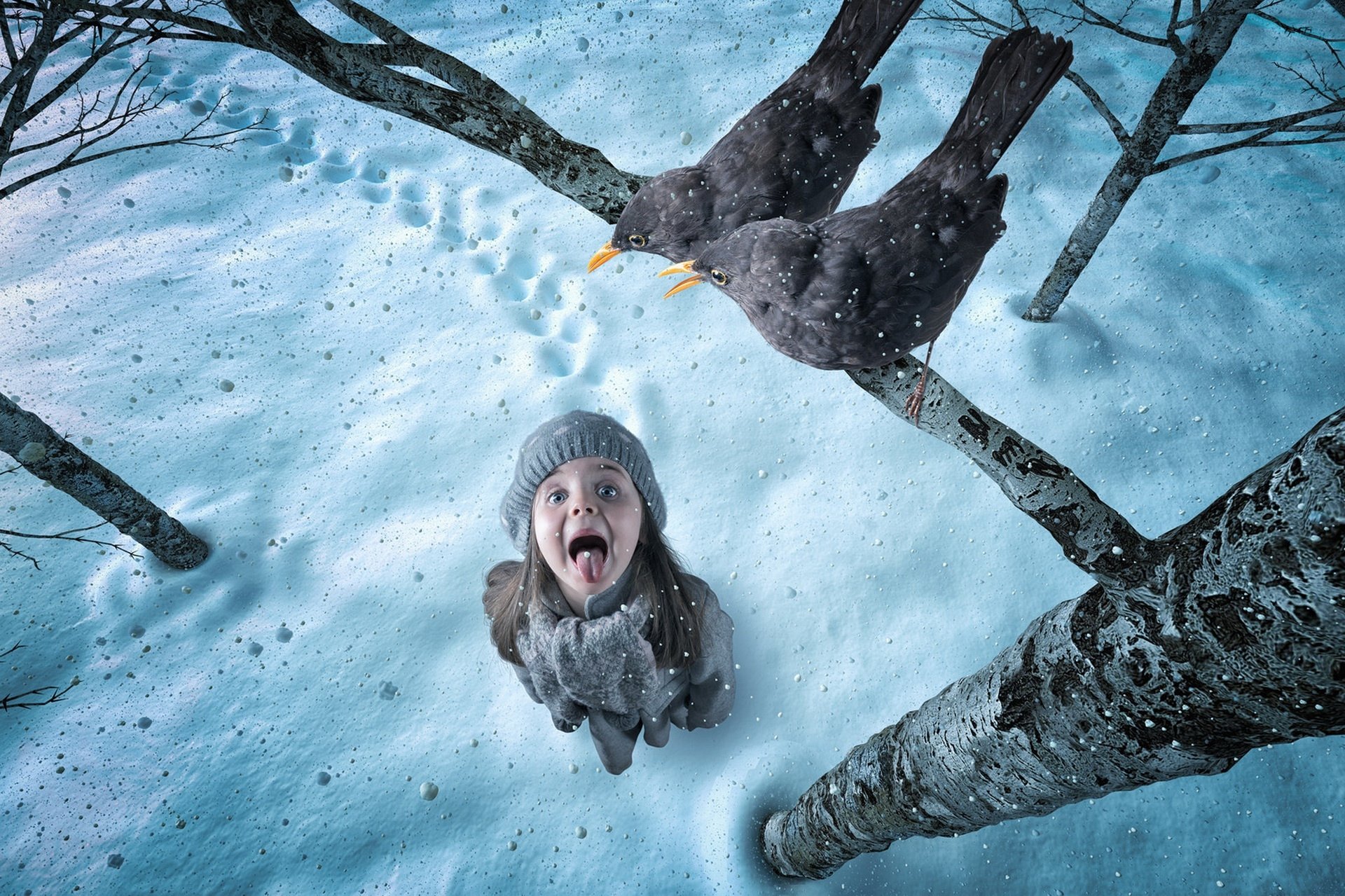 Photographic HD PC desktop wallpaper: little girl in a knit hat looks up in snowy winter woods as a black bird perches on a birch branch, snowflakes drifting around.