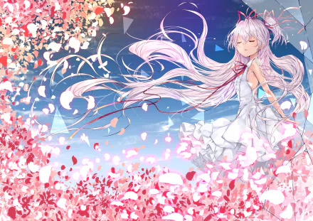 Anime-style original artwork of a girl with flowing white hair and a white dress, surrounded by vibrant pink flower petals against a bright blue sky, designed as an HD PC wallpaper.
