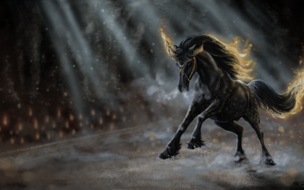 Fantasy Unicorn Fantasy Animals HD Wallpaper | Background Image