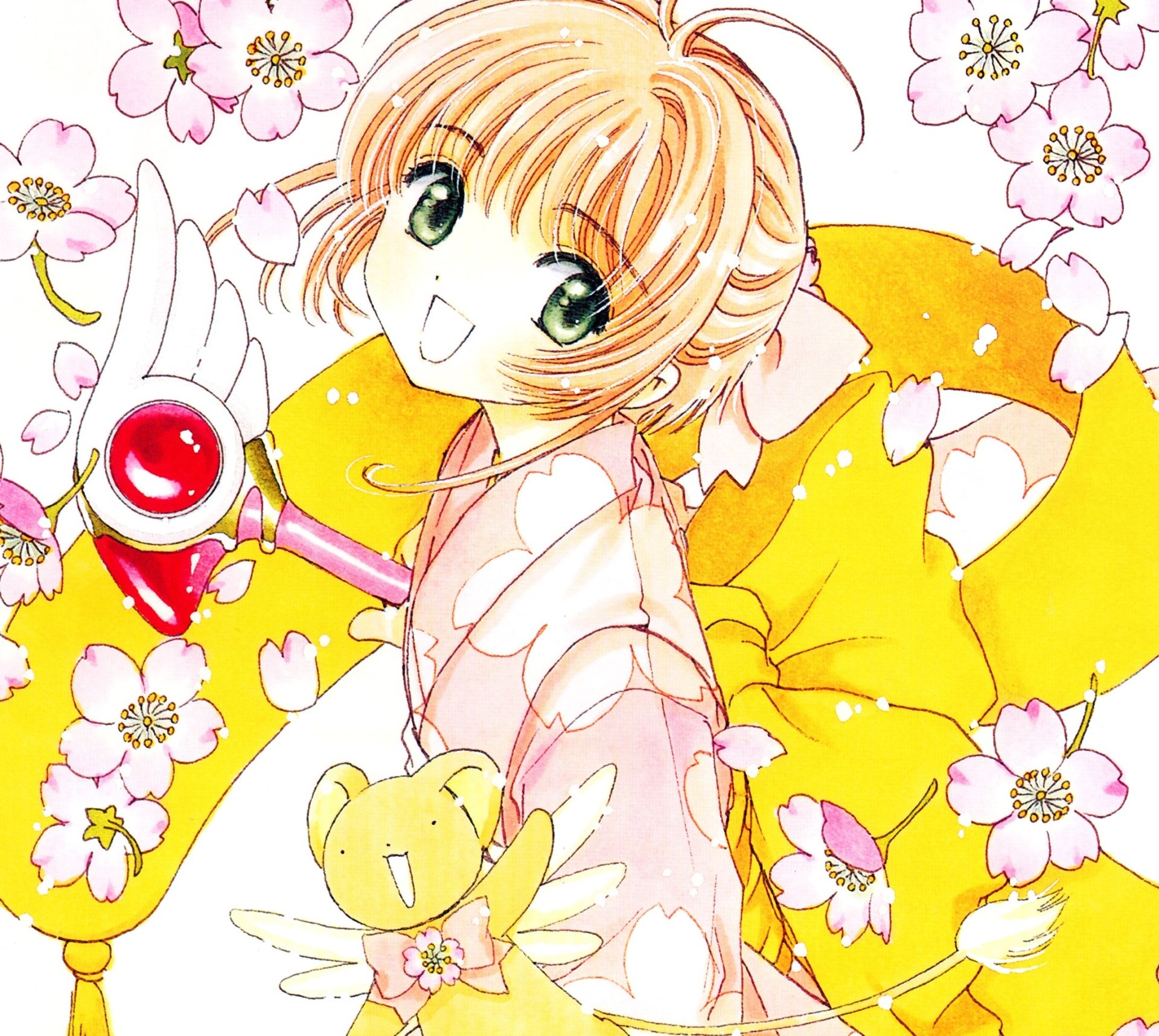 Download Keroberos (Card Captor Sakura) Sakura Kinomoto Anime