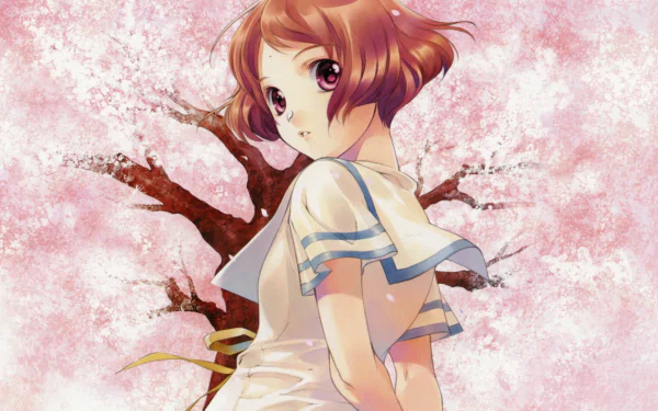 Misora Haruki Anime Sakurada Reset HD Desktop Wallpaper | Background Image