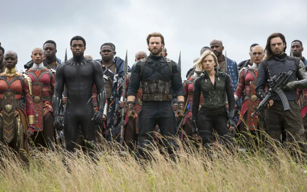 HD wallpaper featuring Captain America, Black Panther, Black Widow, and the Winter Soldier alongside Okoye and other warriors from Avengers: Infinity War, standing in a field ready for battle.