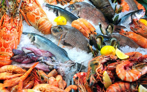 Food Seafood Still Life Fish Crustacean Shrimp HD Wallpaper | Background Image
