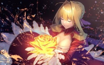 17 Fate Extra Last Encore Hd Wallpapers Background Images Wallpaper Abyss