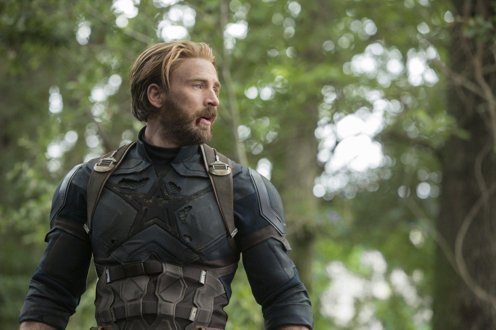 HD desktop wallpaper featuring Chris Evans as Captain America from the movie Avengers: Infinity War, portraying the character in a forest setting with a pensive expression.
