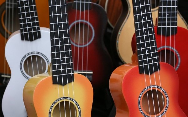 Music Guitar Instrument HD Wallpaper | Background Image