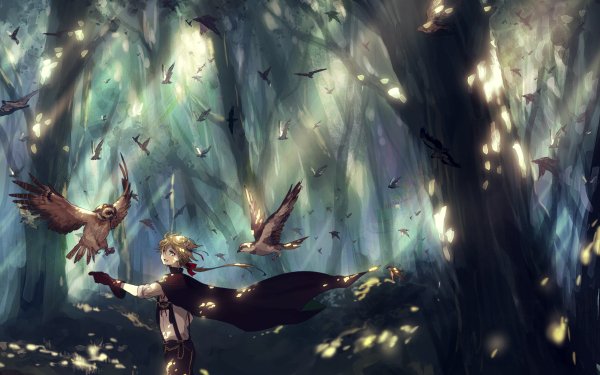 Anime Original Bird Forest Nature Light HD Wallpaper | Background Image