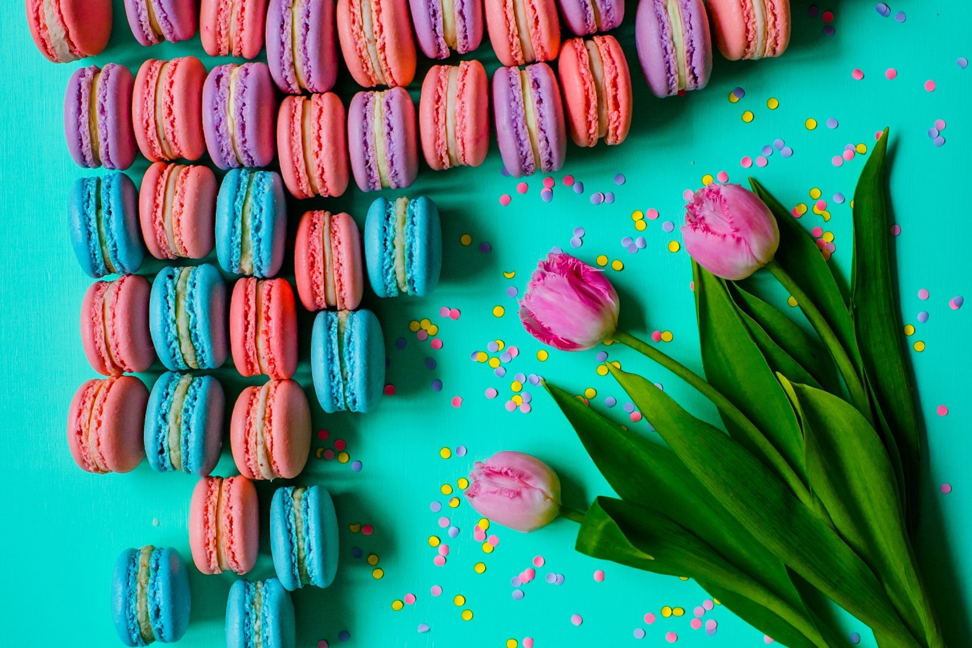 Colorful macarons and pink tulips with confetti on a turquoise background — vibrant sweets and flowers 2K Quad HD PC desktop wallpaper/background.
