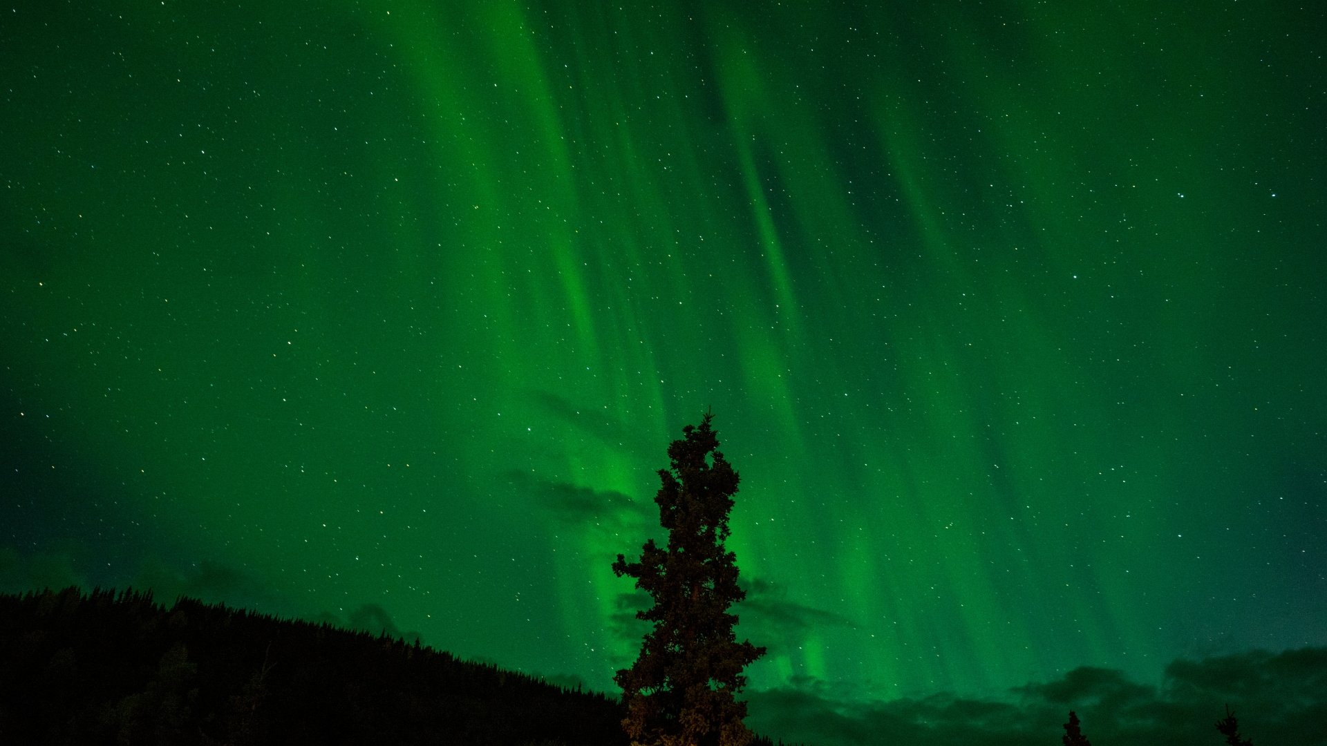 Download Light Star Sky Night Nature Aurora Borealis 4k Ultra HD ...