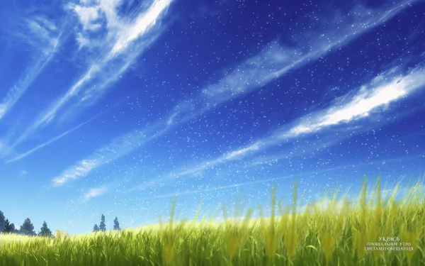 HD anime wallpaper from Maquia: When the Promised Flower Blooms, featuring a bright blue sky with wispy clouds above a lush green field.