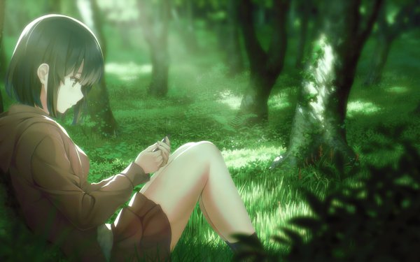 Anime Saekano: How to Raise a Boring Girlfriend Megumi Katō HD Wallpaper | Background Image