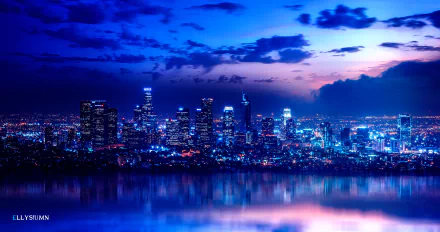 Aerial view of Los Angeles, California - Skyline by Gene Raz von Edler