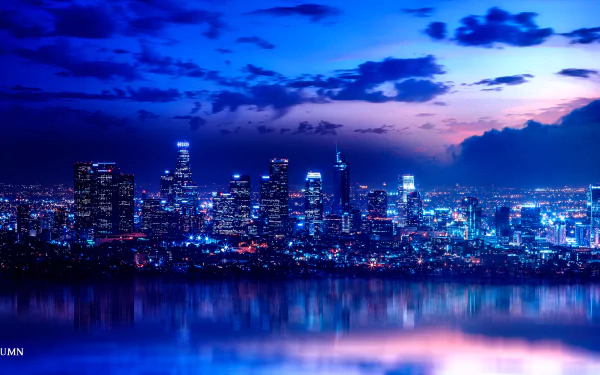  Aerial view of Los Angeles, California - Skyline by Gene Raz von Edler