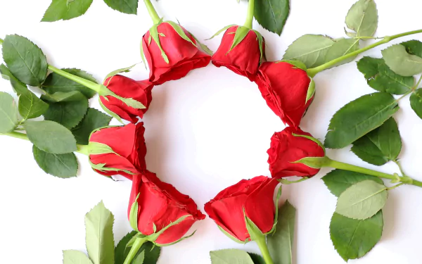 4K Ultra HD PC desktop wallpaper of man-made red rose flowers arranged in a circular wreath on a white background with green leaves.