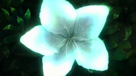  Kyoukai no Kanata OP