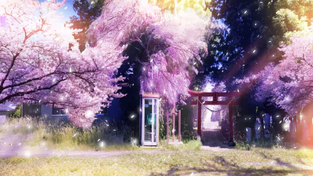 HD anime original desktop wallpaper featuring a serene scene with blooming cherry blossoms, a glowing phone booth, and a traditional torii gate in soft sunlight.