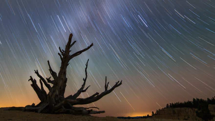 night sky nature star trail HD Desktop Wallpaper | Background Image