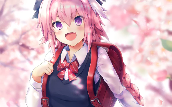 Astolfo (Fate/Apocrypha) Rider of Black (Fate/Apocrypha) Anime Fate/Grand Order HD Desktop Wallpaper | Background Image