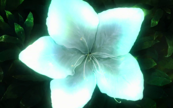  Kyoukai no Kanata OP