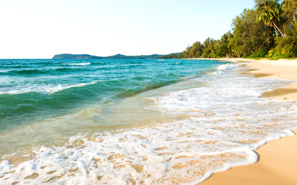 5K Ultra HD PC desktop wallpaper: tropical coastline with turquoise ocean waves lapping a golden sand beach, palm trees and lush greenery under a bright sky.