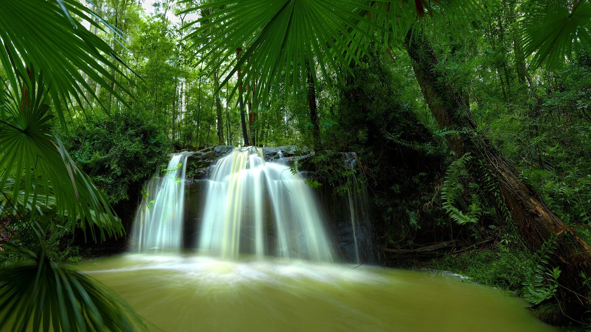 wasserfall hintergrund dschungel