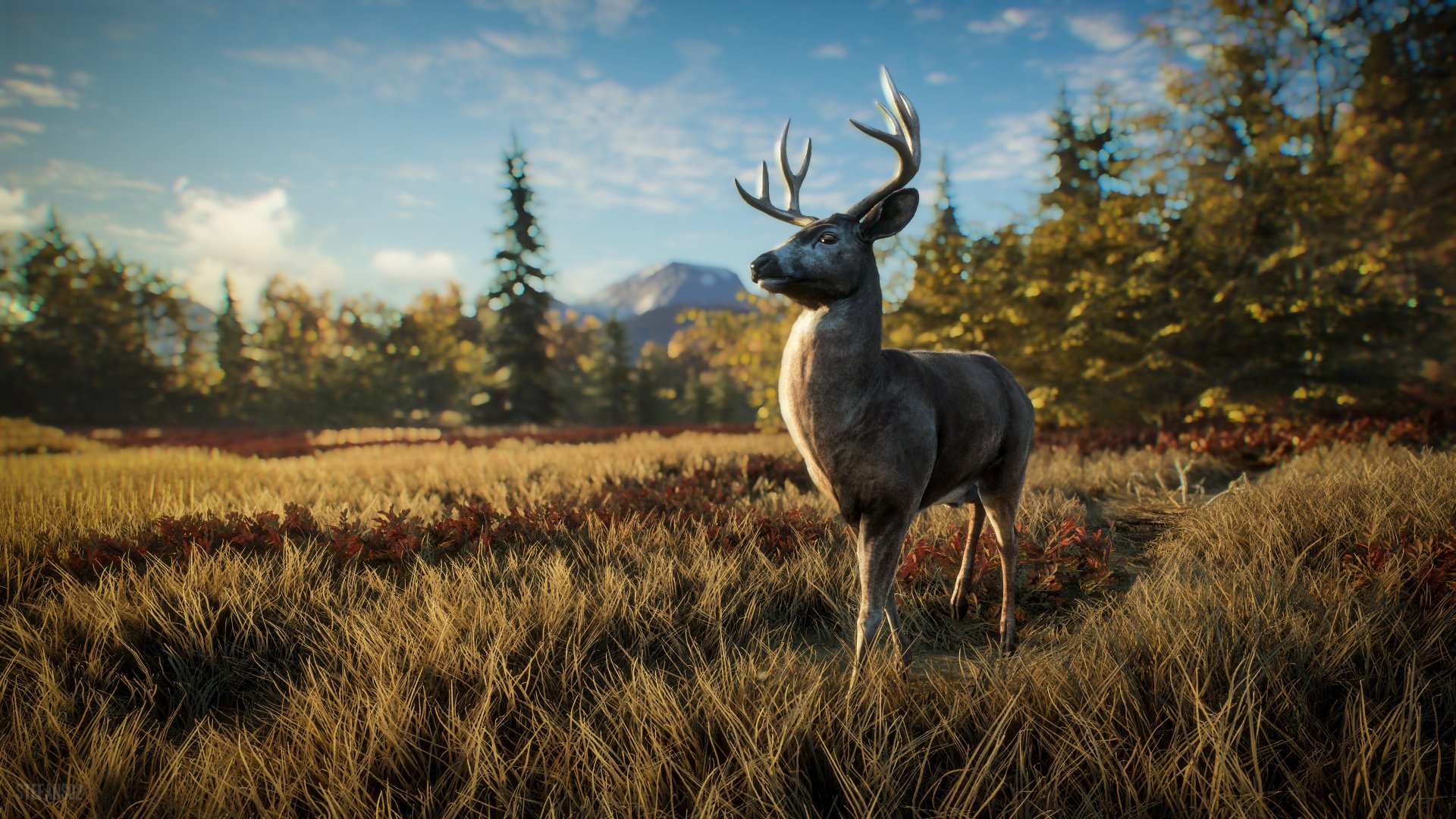 TheHunter: Call of the Wild / David the Deer is Curious by StefanS02