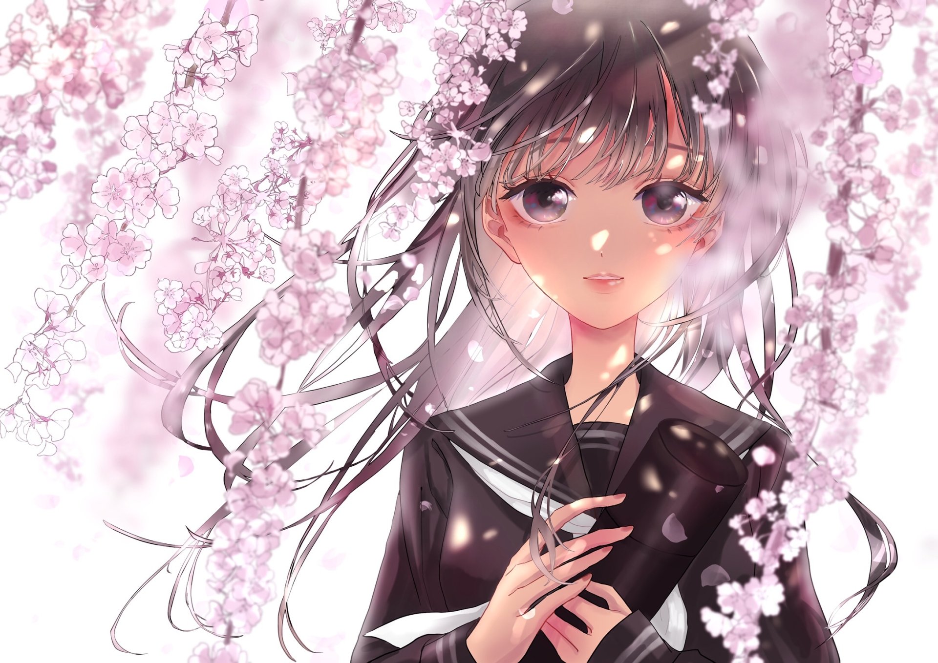 HD PC desktop wallpaper — anime original of a long black-haired girl in a school uniform framed by blooming cherry blossoms and drifting pink petals.