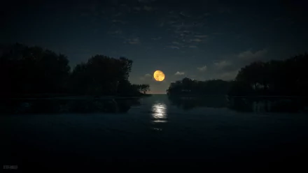 A serene night scene from theHunter: Call of The Wild, showcasing a glowing full moon reflecting on a calm lake surrounded by dark trees in 4K Ultra HD quality.