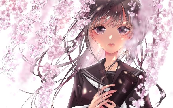 Anime Original Long Hair Black Hair Cherry Blossom HD Wallpaper | Background Image