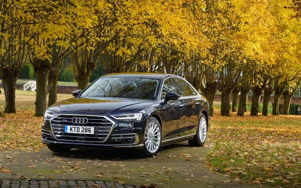 car Audi vehicle Audi A8 HD Desktop Wallpaper | Background Image