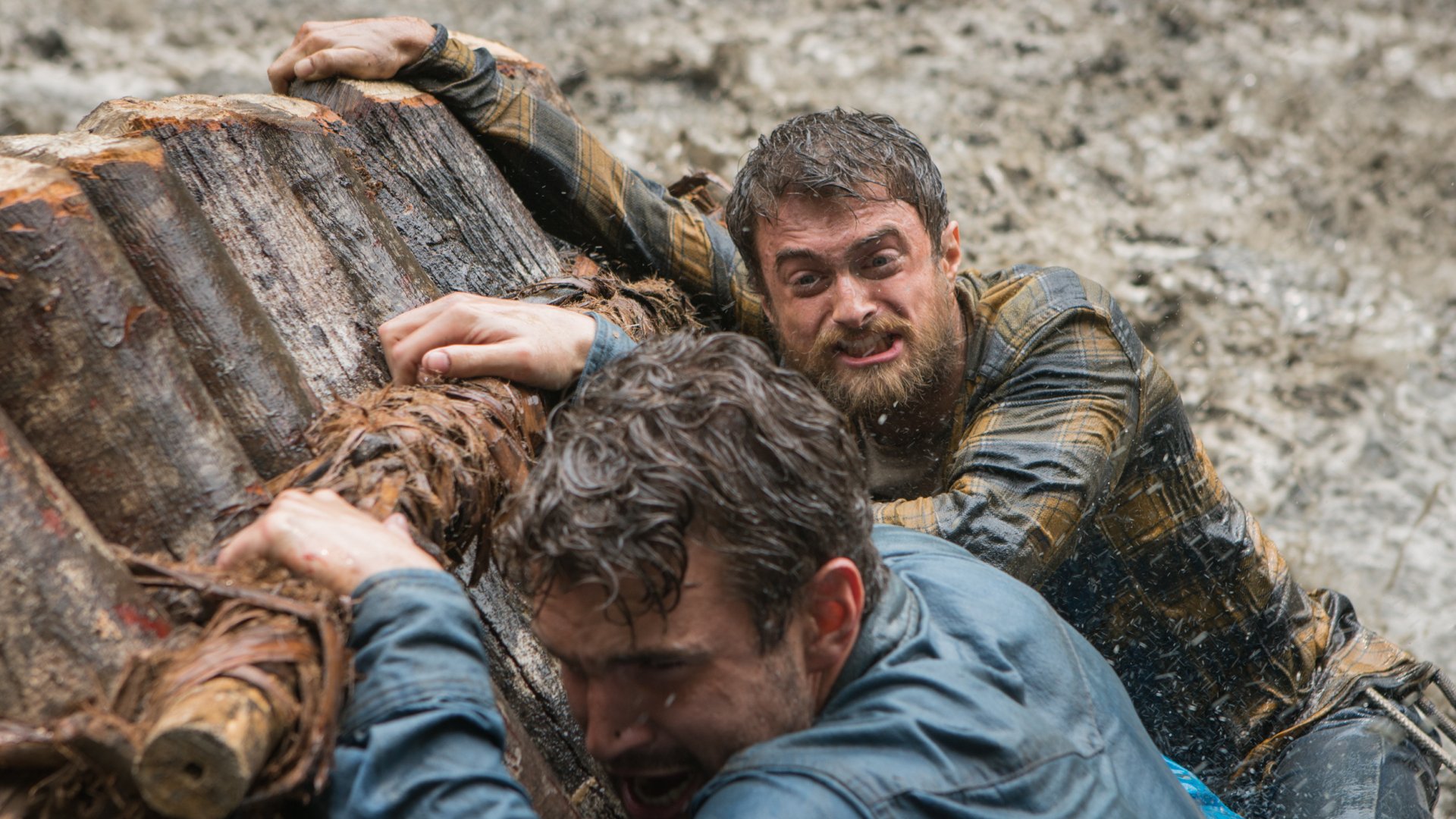 Download Daniel Radcliffe Movie Jungle HD Wallpaper