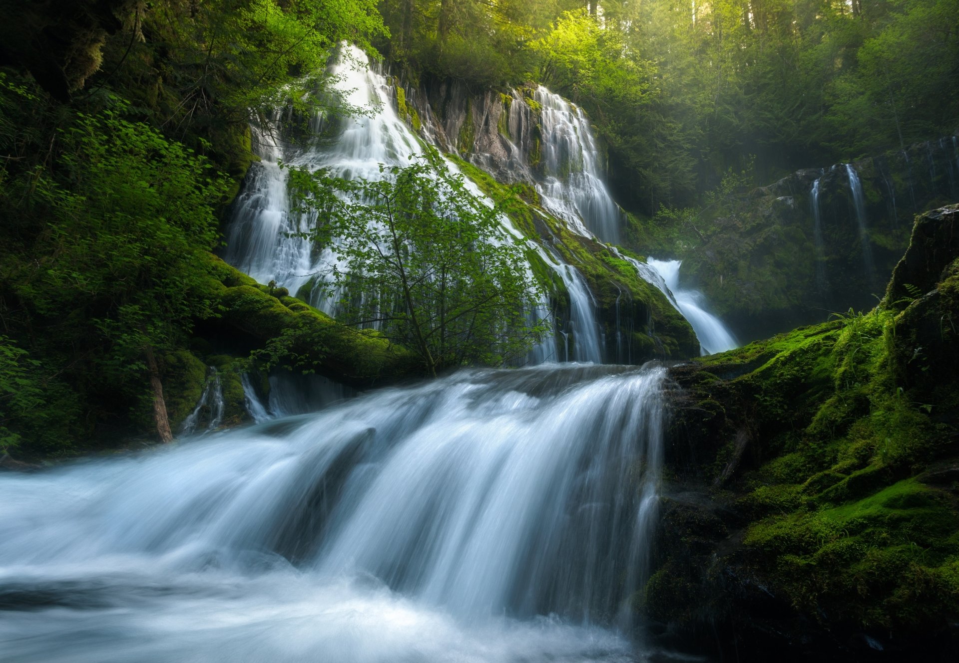 Download Greenery Nature Waterfall HD Wallpaper | 2500x1731 | Wallpaper ...