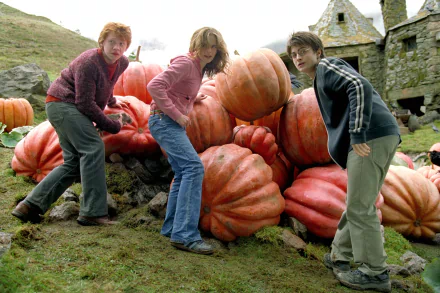 Harry Potter, Hermione Granger, and Ron Weasley stand among oversized pumpkins in a scene from the movie Harry Potter and the Prisoner of Azkaban, shown in HD desktop wallpaper quality.