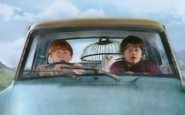 Rupert Grint as Ron Weasley and Daniel Radcliffe as Harry Potter are shown inside a car, with an owl in a cage, from Harry Potter and the Chamber of Secrets. HD desktop wallpaper.