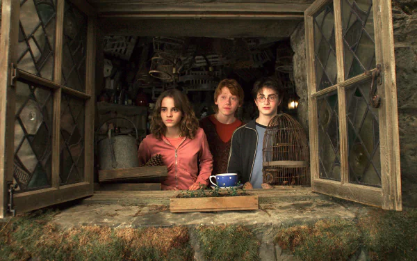 Harry Potter Ron Weasley Hermione Granger movie Harry Potter and the Prisoner of Azkaban HD Desktop Wallpaper | Background Image