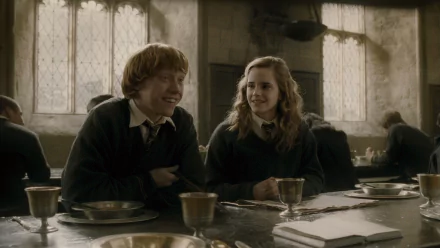 Hermione Granger Ron Weasley movie Harry Potter and the Half-Blood Prince HD Desktop Wallpaper | Background Image