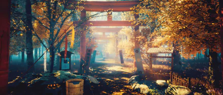HD desktop wallpaper featuring a beautiful oriental Shinto shrine path in Japan, bathed in warm sunlight with vibrant autumn foliage. The scene has a fantasy-like, serene atmosphere.