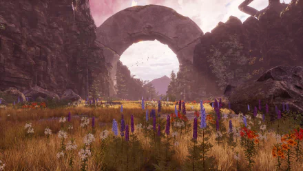  Drizzlepath Deja Vu