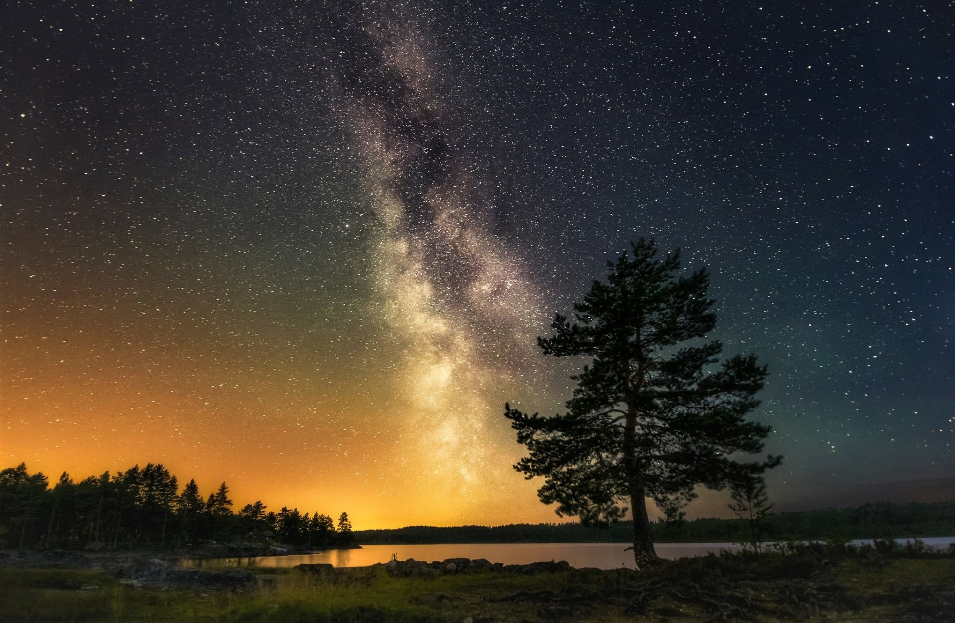 A solitary tree stands against a starry night sky, with the Milky Way galaxy arching overhead. The HD wallpaper captures the beauty of the night with a sci-fi ambiance.