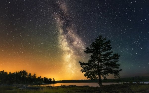 Sci Fi Milky Way Sky Galaxy Night Starry Sky Stars Tree HD Wallpaper | Background Image