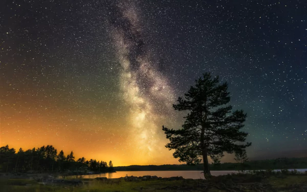 A solitary tree stands against a starry night sky, with the Milky Way galaxy arching overhead. The HD wallpaper captures the beauty of the night with a sci-fi ambiance.