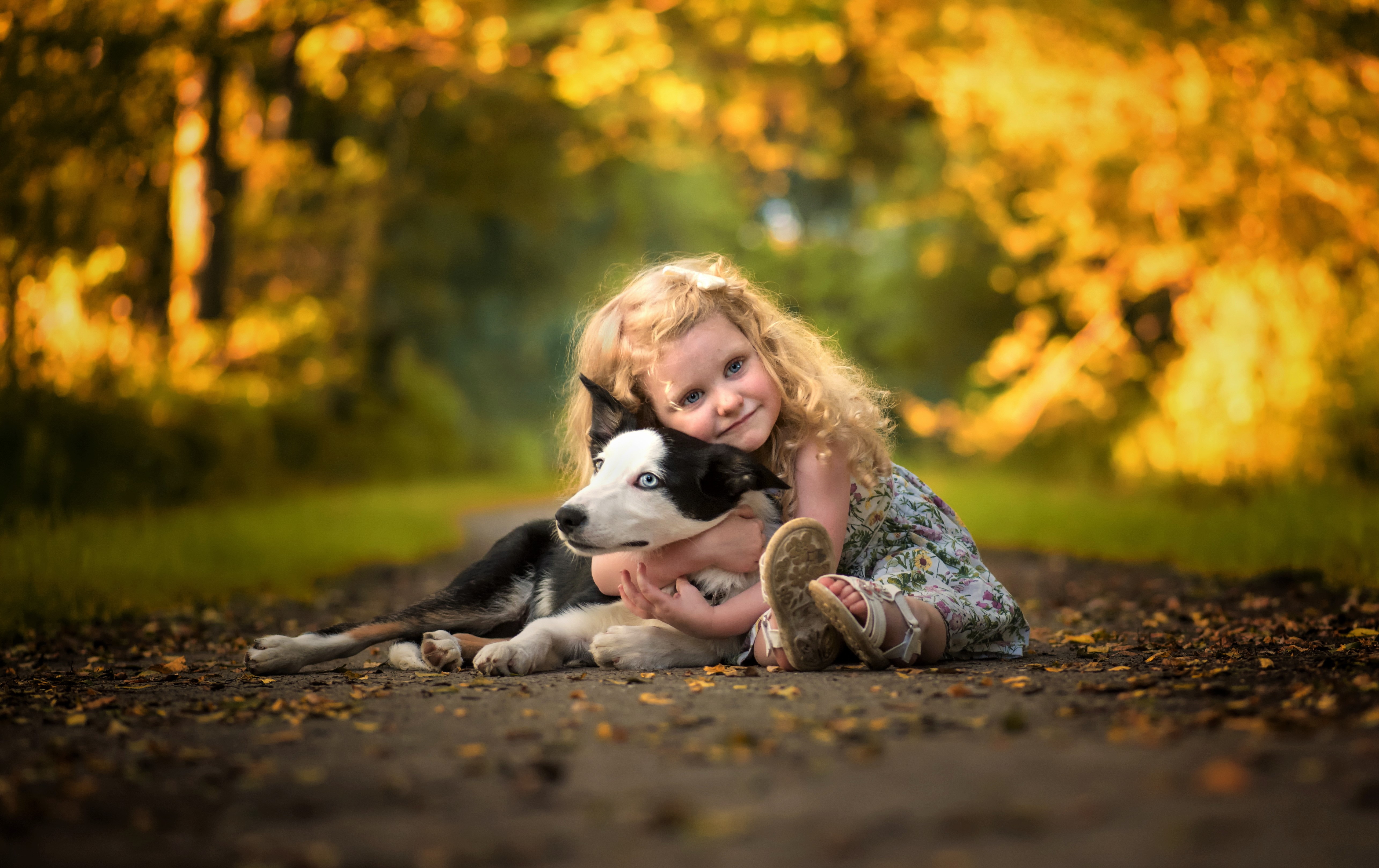 Little Girl  and Her Dog  4k Ultra HD Wallpaper  Background  