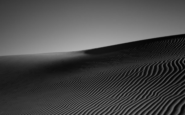 Nature Desert Sand Sahara Dune Algeria Africa Black & White HD Wallpaper | Background Image