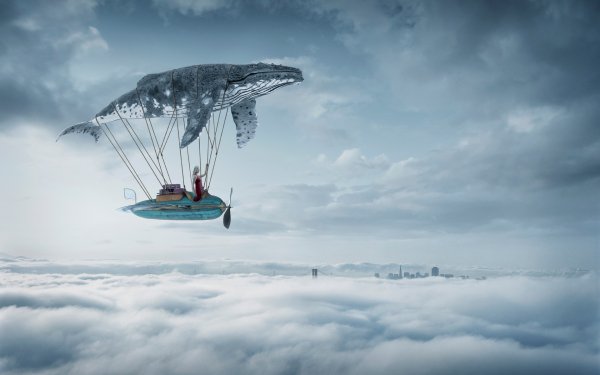 Fantasy Whale Fantasy Animals Sky Cloud Vehicle HD Wallpaper | Background Image