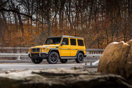 Yellow Mercedes-Benz G-Class (Mercedes-AMG G63) SUV parked on a road amid autumn trees — 4K Ultra HD PC desktop background