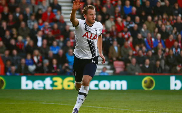 soccer English Harry Kane Sports HD Desktop Wallpaper | Background Image