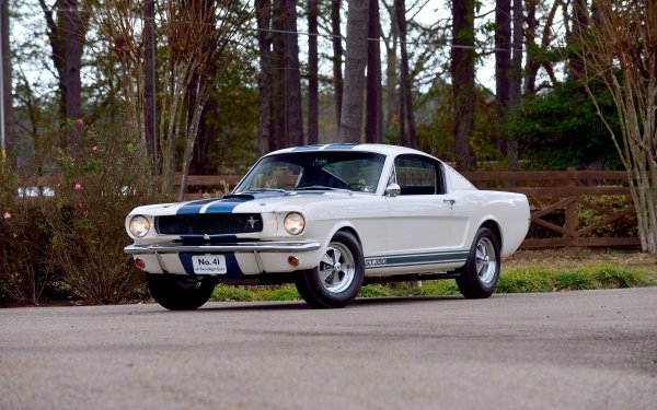 Vehicles Shelby Mustang GT 350 Ford Shelby Mustang GT350 Muscle Car Fastback White Car Car HD Wallpaper | Background Image