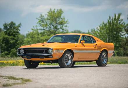  1969 Ford Shelby GT500