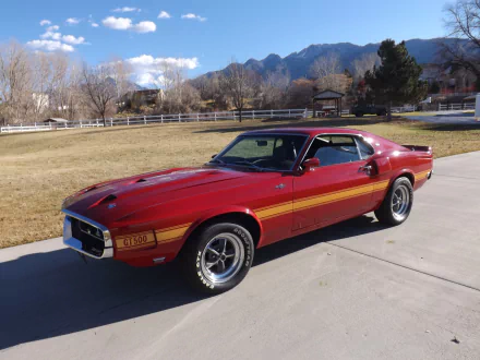  1969 Ford Shelby GT500