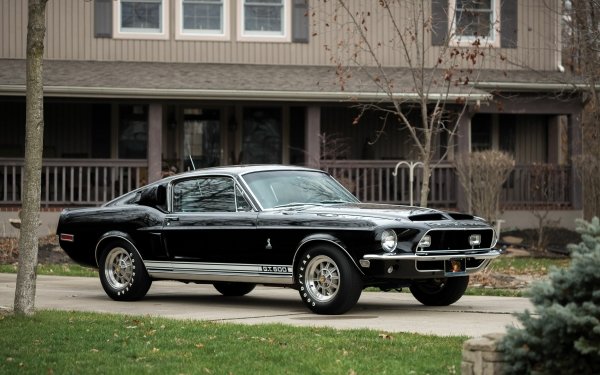 Vehicles Shelby Cobra GT500 Muscle Car Fastback Black Car Car HD Wallpaper | Background Image